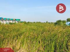 ขายที่ดินเปล่า 2 ไร่ ตำบลบางหลวง อำเภอบางเลน จังหวัดนครปฐม-202511221138001763786280405.jpg