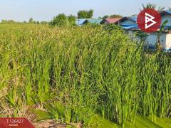 ขายที่ดินเปล่า 2 ไร่ ตำบลบางหลวง อำเภอบางเลน จังหวัดนครปฐม-202511221138001763786280974.jpg