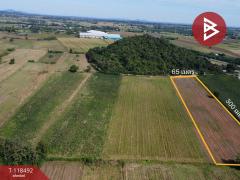 ขายที่ดินเปล่า เนื้อที่ 12 ไร่ 2 งาน 76 ตารางวา ต.พุนกยูง นครสวรรค์ ทำเลดี ติดถนนใหญ่-202511221143511763786631868.jpg