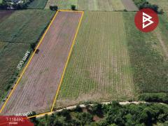 ขายที่ดินเปล่า เนื้อที่ 12 ไร่ 2 งาน 76 ตารางวา ต.พุนกยูง นครสวรรค์ ทำเลดี ติดถนนใหญ่-202511221143521763786632468.jpg