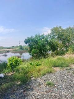 ขายที่ดินเปล่า ถูกที่สุด ติดหน้าถนนโครงการเปาอินทร์ ต.ลาดหลุมแก้ว อ.ลาดหลุมแก้ว จ.ปทุมธานี-202511221211551763788315205.jpg