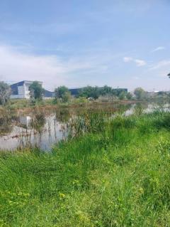 ขายที่ดินเปล่า ถูกที่สุด ติดหน้าถนนโครงการเปาอินทร์ ต.ลาดหลุมแก้ว อ.ลาดหลุมแก้ว จ.ปทุมธานี-202511221211561763788316538.jpg