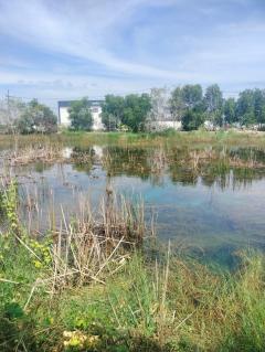 ขายที่ดินเปล่า ถูกที่สุด ติดหน้าถนนโครงการเปาอินทร์ ต.ลาดหลุมแก้ว อ.ลาดหลุมแก้ว จ.ปทุมธานี-202511221211571763788317215.jpg