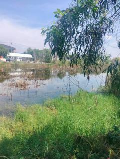 ขายที่ดินเปล่า ถูกที่สุด ติดหน้าถนนโครงการเปาอินทร์ ต.ลาดหลุมแก้ว อ.ลาดหลุมแก้ว จ.ปทุมธานี-202511221211571763788317829.jpg