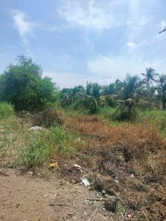 ขายที่ดินเปล่า ถูกที่สุด ติดหน้าถนนโครงการเปาอินทร์ ต.ลาดหลุมแก้ว อ.ลาดหลุมแก้ว จ.ปทุมธานี-202511221211581763788318431.jpg