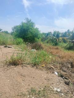 ขายที่ดินเปล่า ถูกที่สุด ติดหน้าถนนโครงการเปาอินทร์ ต.ลาดหลุมแก้ว อ.ลาดหลุมแก้ว จ.ปทุมธานี-202511221211591763788319072.jpg