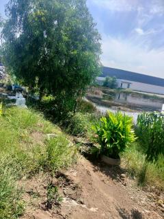 ขายที่ดินเปล่า ถูกที่สุด ติดหน้าถนนโครงการเปาอินทร์ ต.ลาดหลุมแก้ว อ.ลาดหลุมแก้ว จ.ปทุมธานี-202511221211591763788319700.jpg