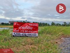 ขายที่ดิน เนื้อที่ 2 ไร่ 80 ตร.วา บางพลี สมุทรปราการ-202511221226181763789178276.jpg