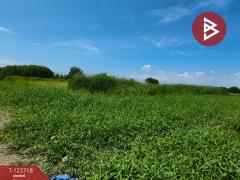 ขายที่ดิน เนื้อที่ 2 ไร่ 80 ตร.วา บางพลี สมุทรปราการ-202511221226211763789181051.jpg