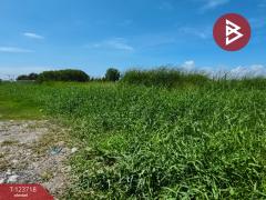 ขายที่ดิน เนื้อที่ 2 ไร่ 80 ตร.วา บางพลี สมุทรปราการ-202511221226211763789181611.jpg