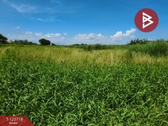 ขายที่ดิน เนื้อที่ 2 ไร่ 80 ตร.วา บางพลี สมุทรปราการ-202511221226221763789182170.jpg