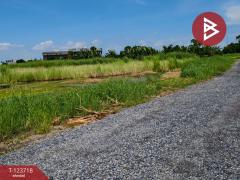 ขายที่ดิน เนื้อที่ 2 ไร่ 80 ตร.วา บางพลี สมุทรปราการ-202511221226231763789183856.jpg