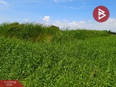 ขายที่ดิน เนื้อที่ 2 ไร่ 80 ตร.วา บางพลี สมุทรปราการ-202511221226241763789184532.jpg