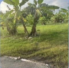 ขายที่ดิน ดอนเจริญ เมืองนครนายก 200 ตร.ว. ติดถนน มีน้ำ มีไฟ พร้อม ไลน์ korn6655-202511221239451763789985857.jpg