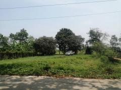 ขายที่ดินถมแล้ว 200 ตารางวา หน้ากว้าง 20 เมตร ถนนคอนกรีต  อ.บ้านนา นครนายก-202511221258521763791132202.jpg