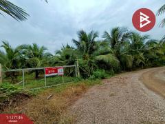 ขายที่ดินสวนมะพร้าว-เนื้อที่-6-ไร่-1-ง