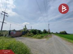 ขายโกดัง เนื้อที่ 5 ไร่ 1 งาน 74 ตารางวา ต.คลองนครเนื่องเขต ฉะเชิงเทรา-202511221418071763795887229.jpg