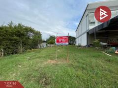 ขายที่ดิน เนื้อที่ 100 ตารางวา อ.โนนศิลา จ.ขอนแก่น ติดถนนมิตรภาพ ทำเลทอง