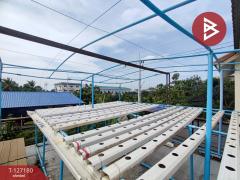 ขายบ้านเดี่ยวหลังมุม โครงการบ้านสวนชมฟ้า สามพราน นครปฐม-202511221603481763802228196.jpg