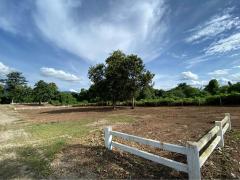 ขายที่ดินติดแม่น้ำวัง จ.ลำปาง-202511221705521763805952295.jpg