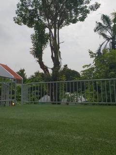 NG066 ให้เช่า โฮมออฟฟิศ ซอย สุขุมวิท 64 ทำเลดี เหมาะทำโฮม​ออฟฟิศ ร้านอาหาร พักอาศัย ใกล้รถไฟฟ้าBTS ปุญณวิถี​เพียง​2นาที-202511221941561763815316638.jpg