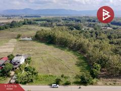 ขายที่ดิน เนื้อที่ 24 ไร่ 66.6 ตร.วา เชียงของ เชียงราย ทำเลดี