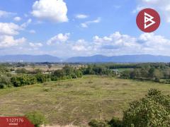 ขายที่ดิน เนื้อที่ 24 ไร่ 66.6 ตร.วา เชียงของ เชียงราย ทำเลดี-202511231039311763869171404.jpg