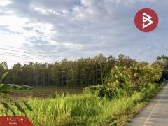 ขายที่ดิน เนื้อที่ 24 ไร่ 66.6 ตร.วา เชียงของ เชียงราย ทำเลดี-202511231039321763869172835.jpg