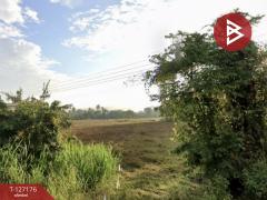 ขายที่ดิน เนื้อที่ 24 ไร่ 66.6 ตร.วา เชียงของ เชียงราย ทำเลดี-202511231039331763869173381.jpg