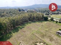 ขายที่ดิน เนื้อที่ 24 ไร่ 66.6 ตร.วา เชียงของ เชียงราย ทำเลดี-202511231039341763869174477.jpg