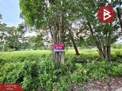 ขายที่ดิน-เนื้อที่-5-ไร่-3-งาน-13.3-ตร.วา-ต