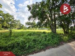 ขายที่ดิน เนื้อที่ 5 ไร่ 3 งาน 13.3 ตร.วา ตากแดด ชุมพร-202511231054391763870079414.jpg