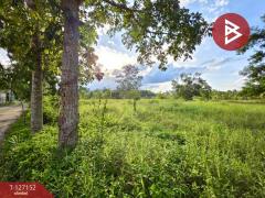 ขายที่ดิน เนื้อที่ 5 ไร่ 3 งาน 13.3 ตร.วา ตากแดด ชุมพร-202511231054401763870080508.jpg