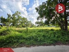 ขายที่ดิน เนื้อที่ 5 ไร่ 3 งาน 13.3 ตร.วา ตากแดด ชุมพร-202511231054411763870081059.jpg