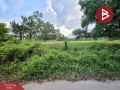 ขายที่ดิน เนื้อที่ 5 ไร่ 3 งาน 13.3 ตร.วา ตากแดด ชุมพร-202511231054411763870081624.jpg