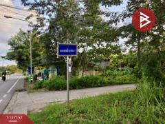 ขายที่ดิน เนื้อที่ 5 ไร่ 3 งาน 13.3 ตร.วา ตากแดด ชุมพร-202511231054421763870082716.jpg