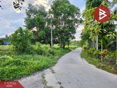 ขายที่ดิน เนื้อที่ 5 ไร่ 3 งาน 13.3 ตร.วา ตากแดด ชุมพร-202511231054431763870083802.jpg