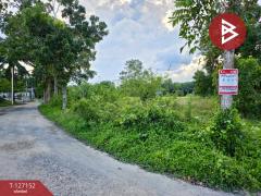 ขายที่ดิน เนื้อที่ 5 ไร่ 3 งาน 13.3 ตร.วา ตากแดด ชุมพร-202511231054441763870084879.jpg