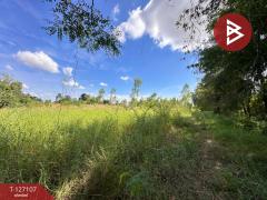 ขายที่ดิน เนื้อที่ 3 ไร่ 2 งาน 97.1 ตร.วา วังทอง พิษณุโลก