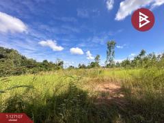 ขายที่ดิน เนื้อที่ 3 ไร่ 2 งาน 97.1 ตร.วา วังทอง พิษณุโลก-202511231128041763872084329.jpg