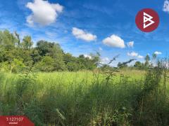 ขายที่ดิน เนื้อที่ 3 ไร่ 2 งาน 97.1 ตร.วา วังทอง พิษณุโลก-202511231128061763872086497.jpg