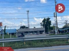 ขายที่ดิน เนื้อที่ 3 ไร่ 2 งาน 97.1 ตร.วา วังทอง พิษณุโลก-202511231128071763872087040.jpg