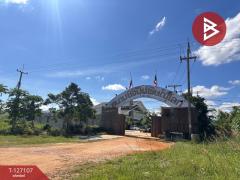 ขายที่ดิน เนื้อที่ 3 ไร่ 2 งาน 97.1 ตร.วา วังทอง พิษณุโลก-202511231128071763872087574.jpg