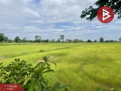 ขายที่ดิน-เนื้อที่-21-ไร่-3-งาน-13-ตร.วา-เ