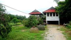 ขายที่ดินบ้านทุ่งหลุก ติดน้ำแม่วาง ตำบลท่าวังพร้าว อำเภอสันป่าตอง -202511231201361763874096404.jpg