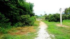 ขายที่ดินบ้านทุ่งหลุก ติดน้ำแม่วาง ตำบลท่าวังพร้าว อำเภอสันป่าตอง -202511231201431763874103687.jpg