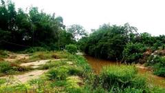 ขายที่ดินบ้านทุ่งหลุก ติดน้ำแม่วาง ตำบลท่าวังพร้าว อำเภอสันป่าตอง -202511231201471763874107367.jpg