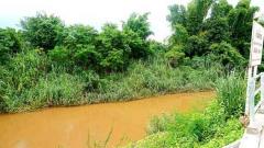 ขายที่ดินบ้านทุ่งหลุก ติดน้ำแม่วาง ตำบลท่าวังพร้าว อำเภอสันป่าตอง -202511231201561763874116934.jpg