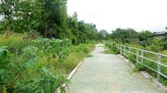 ขายที่ดินบ้านทุ่งหลุก ติดน้ำแม่วาง ตำบลท่าวังพร้าว อำเภอสันป่าตอง -202511231202011763874121847.jpg