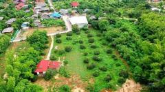 ขายที่ดินบ้านทุ่งหลุก ติดน้ำแม่วาง ตำบลท่าวังพร้าว อำเภอสันป่าตอง -202511231202171763874137137.jpg